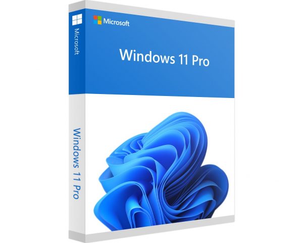 Windows 11 Pro photo produit